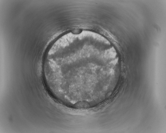 X0000115400012200912011214