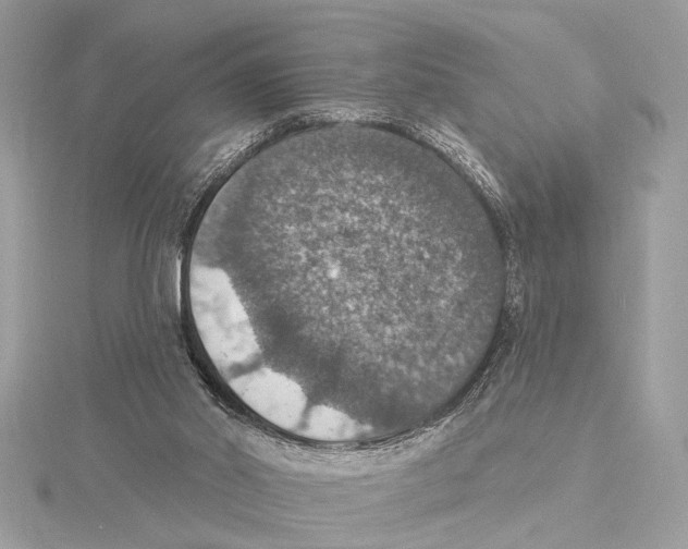 X0000115400014200912011214