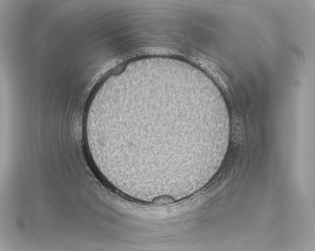 X0000115400015200912011214