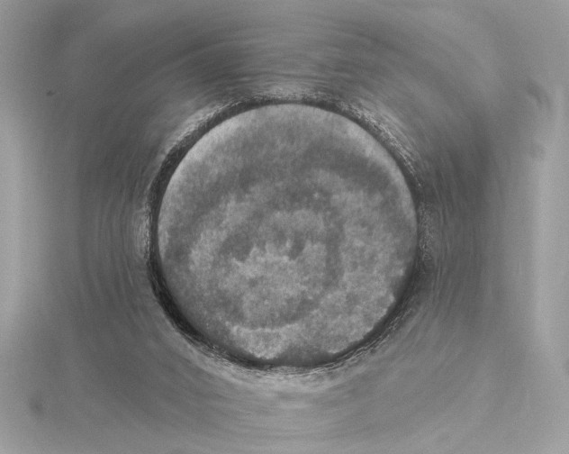 X0000115400016200912011214