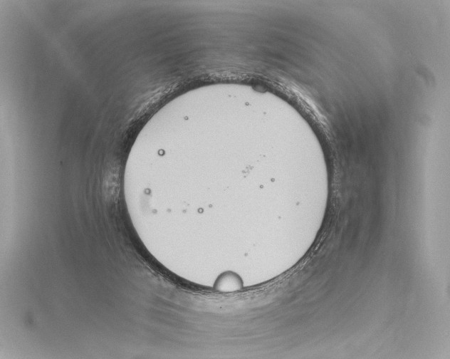 X0000115400017200912011214