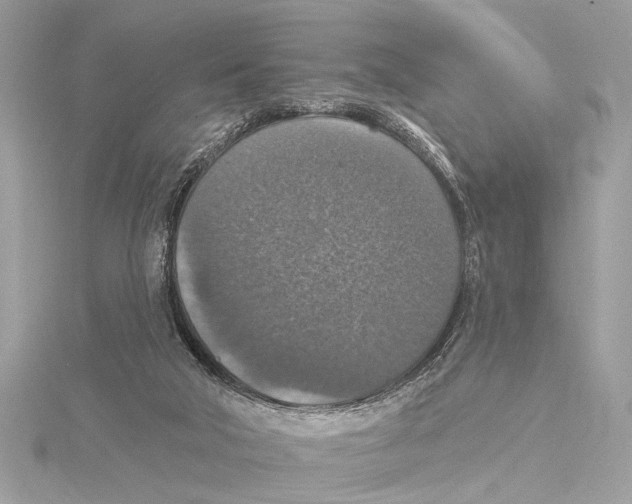 X0000115400018200912011214