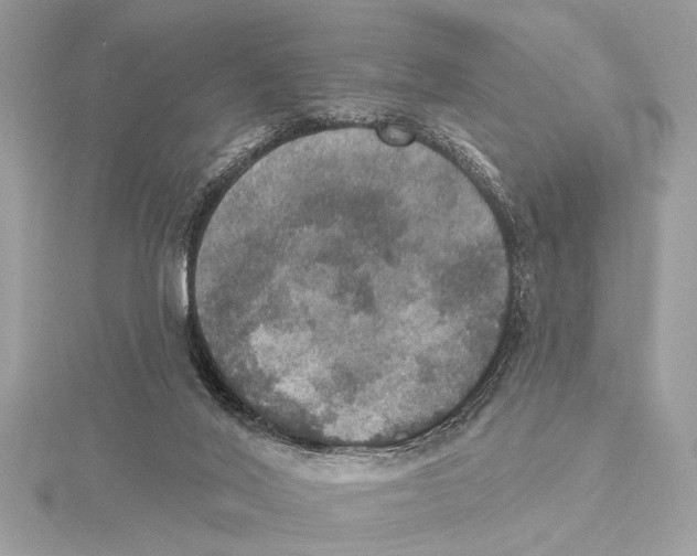 X0000115400020200912011214