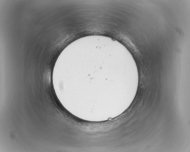 X0000115400021200912011214