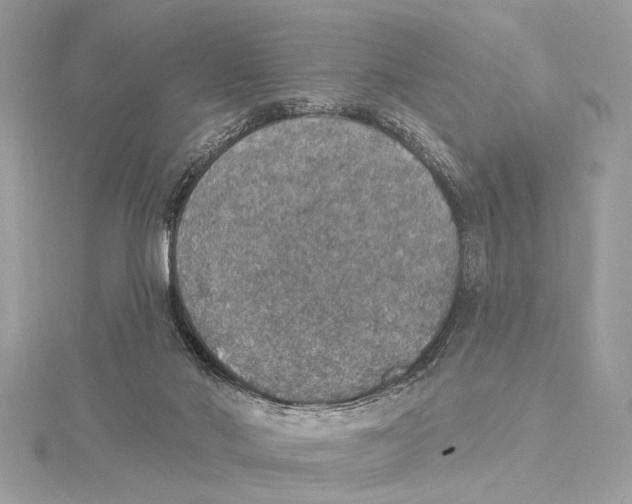 X0000115400022200912011214