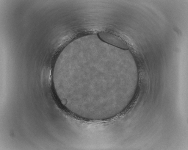 X0000115400024200912011214