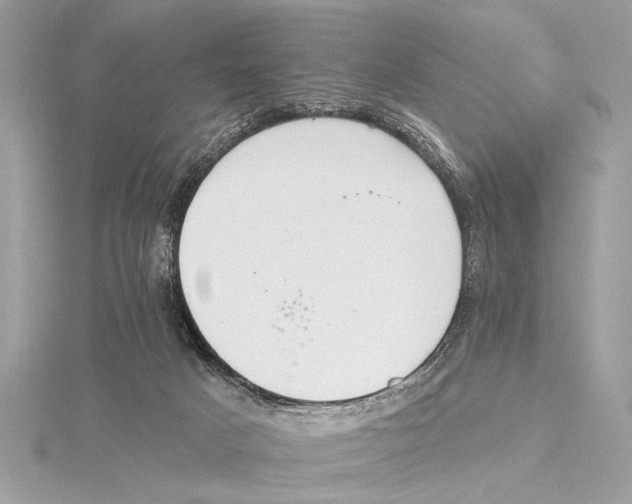 X0000115400025200912011214