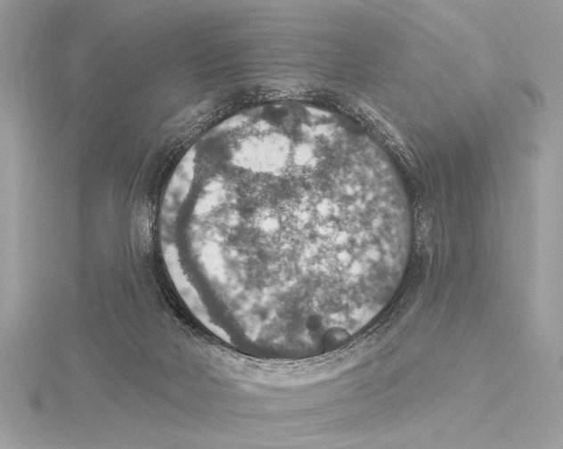 X0000115400026200912011214