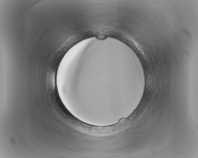 X0000115400027200912011214