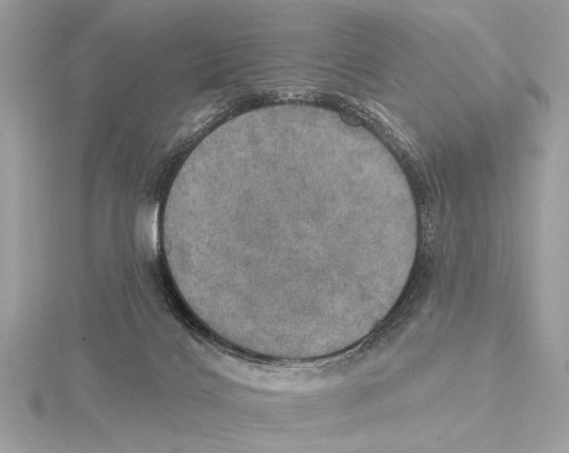 X0000115400028200912011214