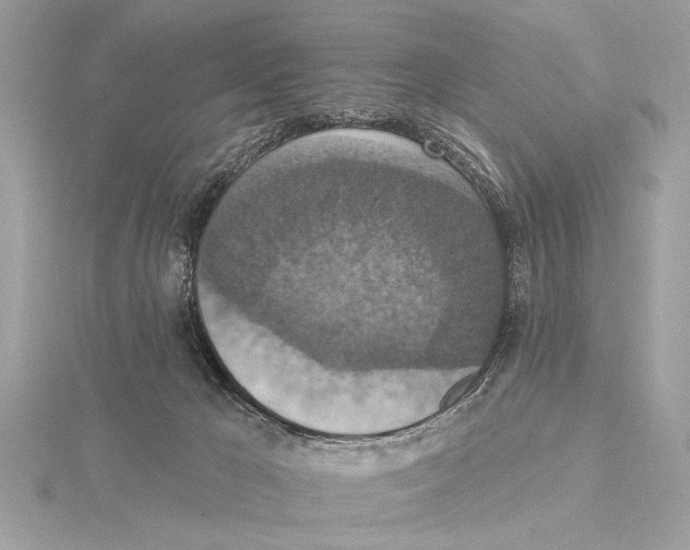 X0000115400029200912011214