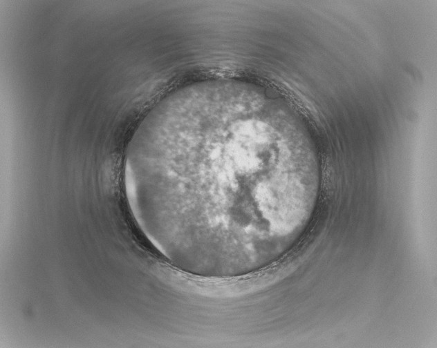 X0000115400030200912011214