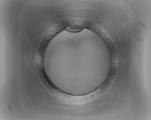 X0000115400031200912011214