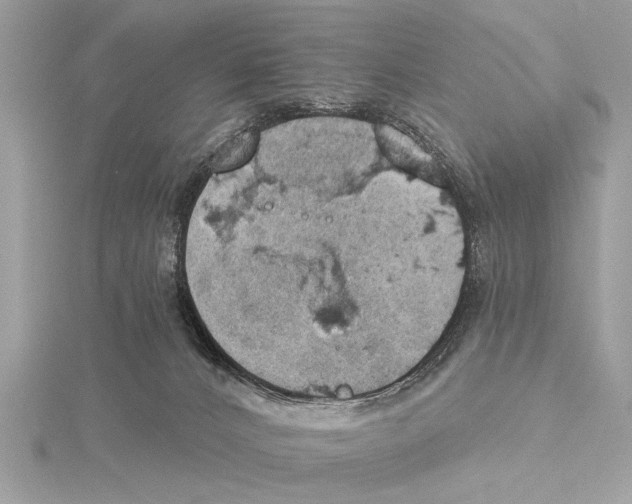 X0000115400032200912011214