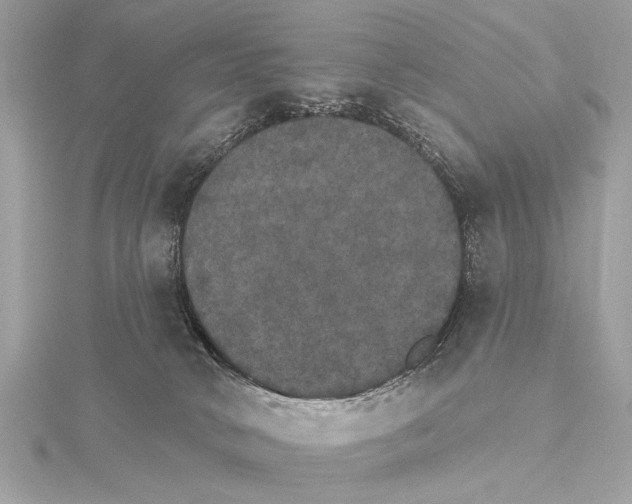 X0000115400034200912011214