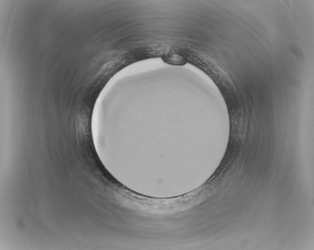 X0000115400035200912011214