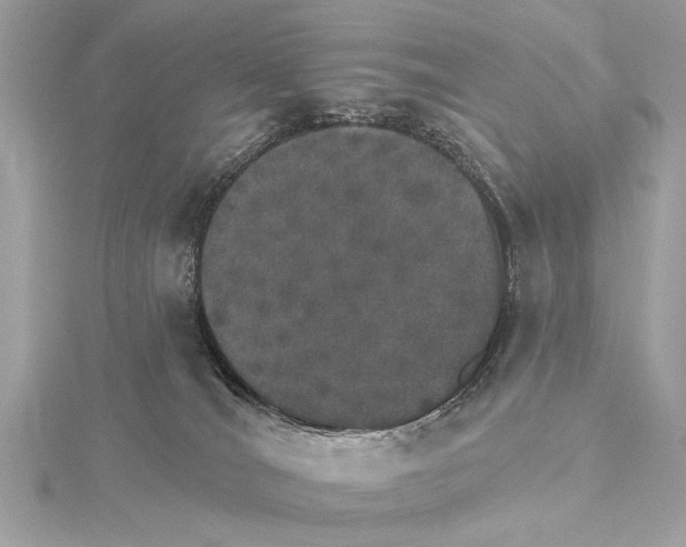 X0000115400036200912011214