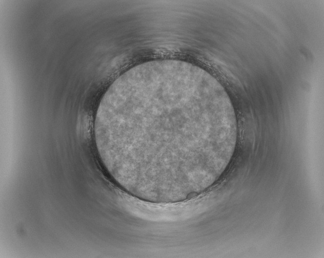 X0000115400038200912011214