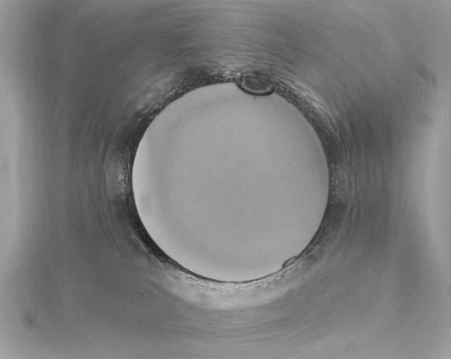 X0000115400039200912011214