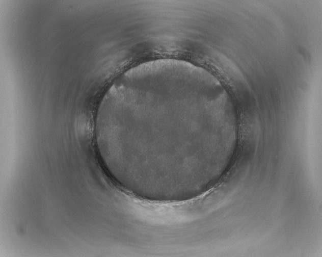 X0000115400040200912011214