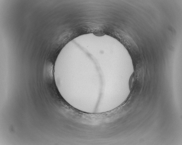 X0000115400041200912011214