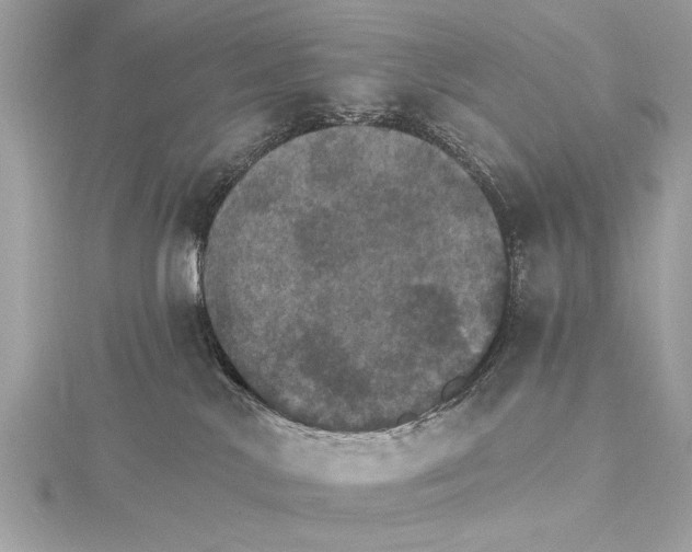 X0000115400042200912011214