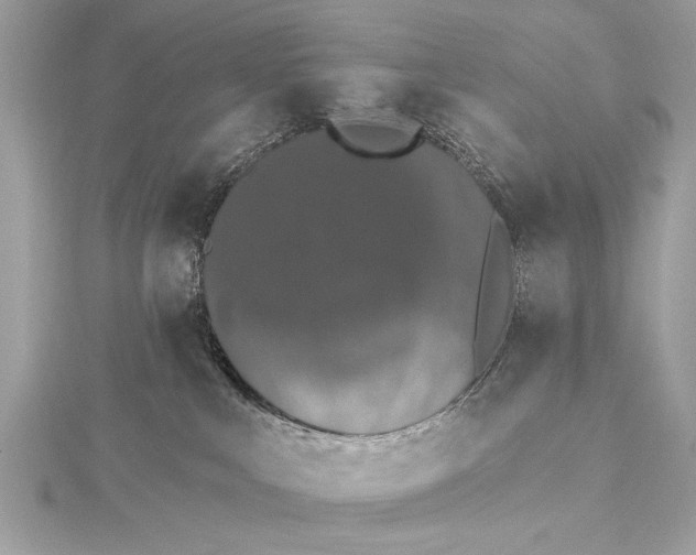 X0000115400043200912011214