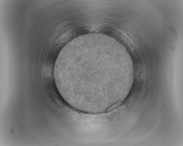 X0000115400044200912011214