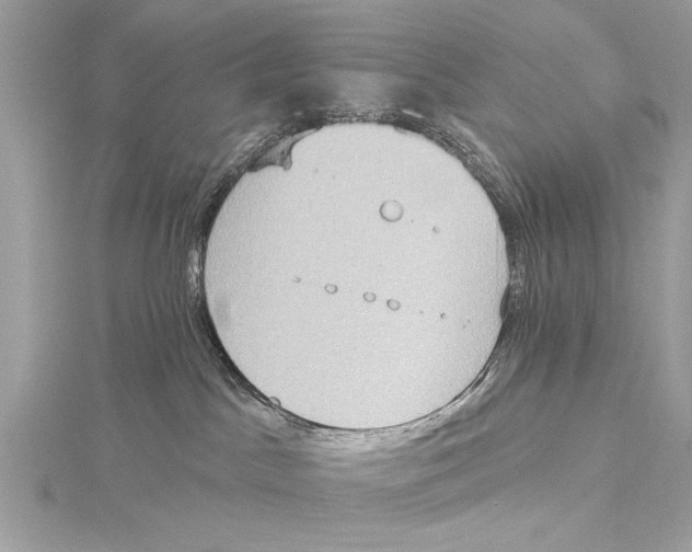 X0000115400045200912011214