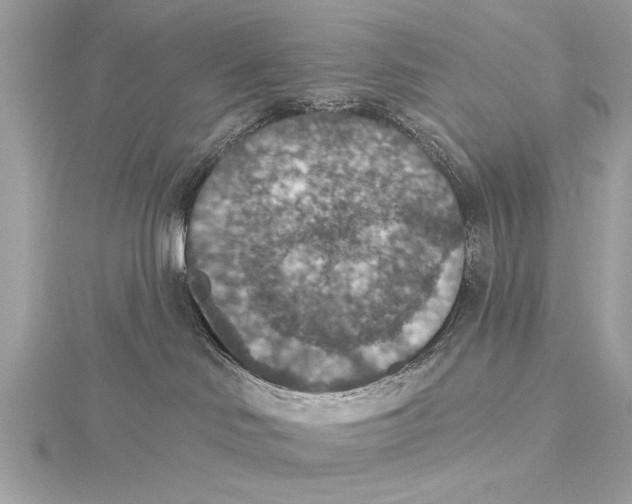 X0000115400046200912011214