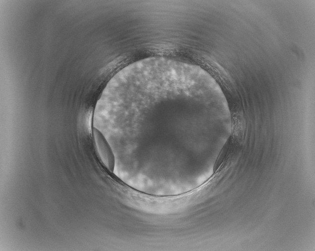 X0000115400047200912011214