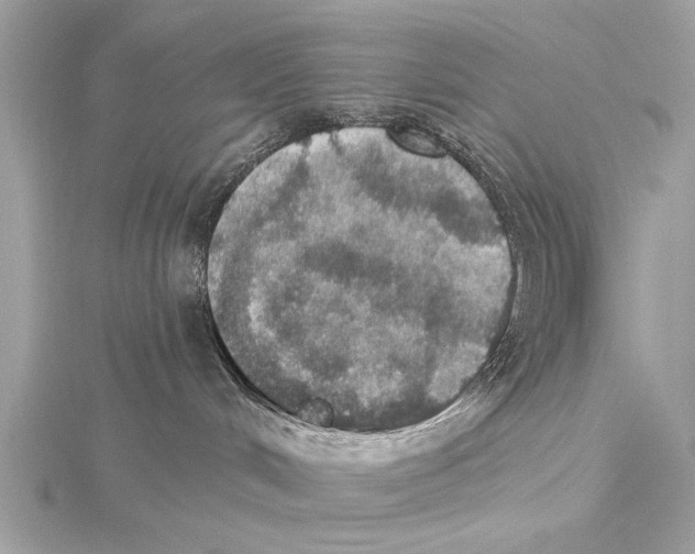 X0000115400048200912011214