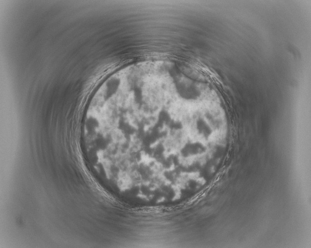 X0000115400049200912011213