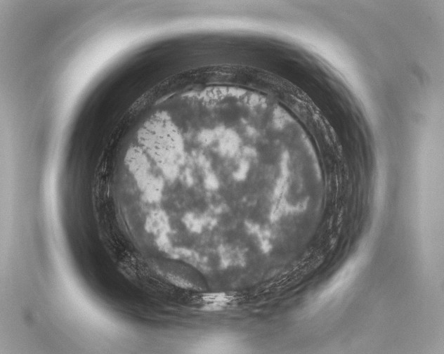 X0000115400050200912011213