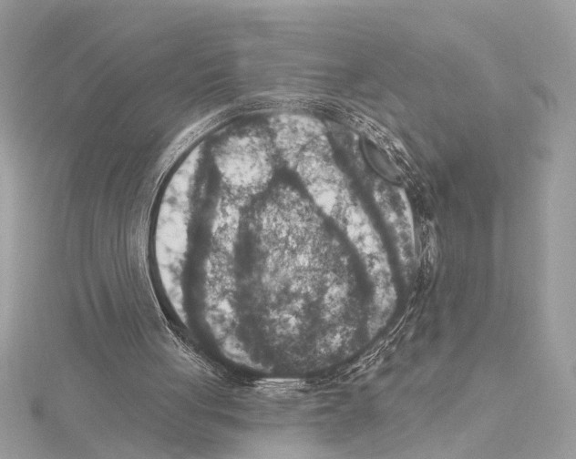 X0000115400051200912011213