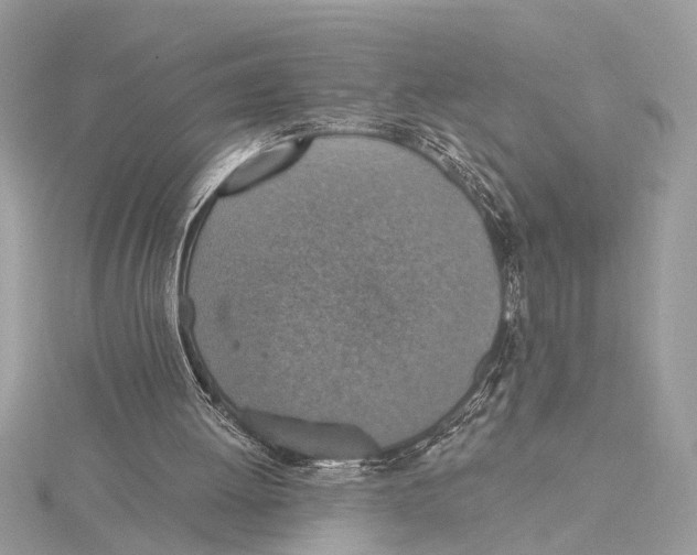 X0000115400052200912011213