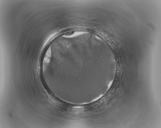 X0000115400053200912011213