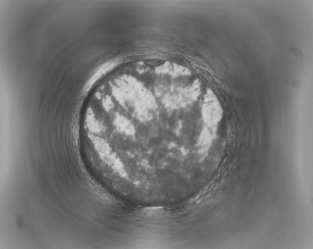 X0000115400054200912011213