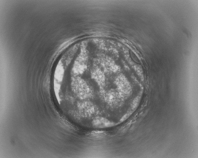 X0000115400055200912011213