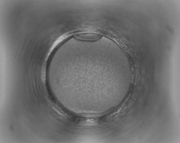 X0000115400056200912011213