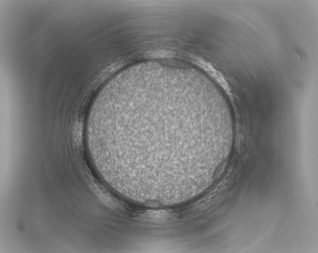 X0000115400057200912011213