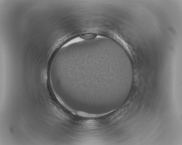 X0000115400059200912011213