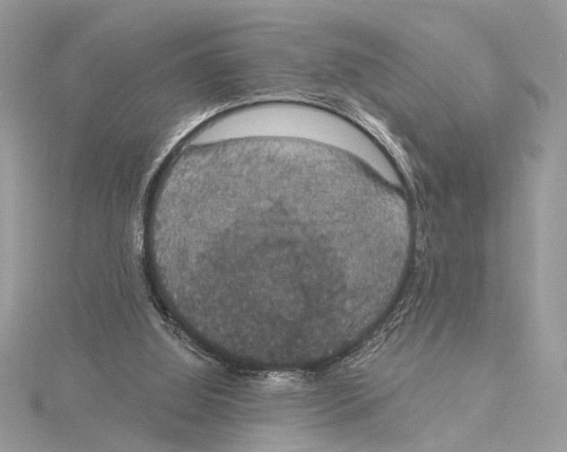 X0000115400060200912011213