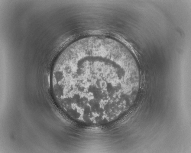 X0000115400061200912011213