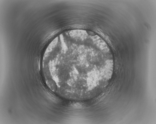 X0000115400062200912011213