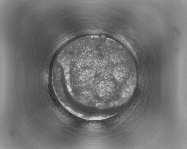 X0000115400063200912011213