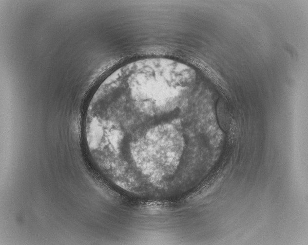 X0000115400064200912011213