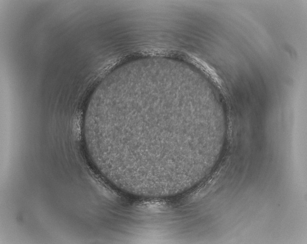 X0000115400065200912011213