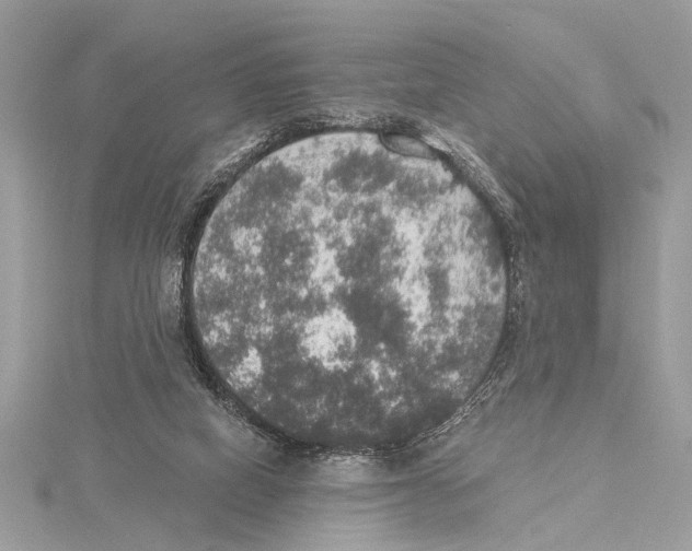 X0000115400066200912011214