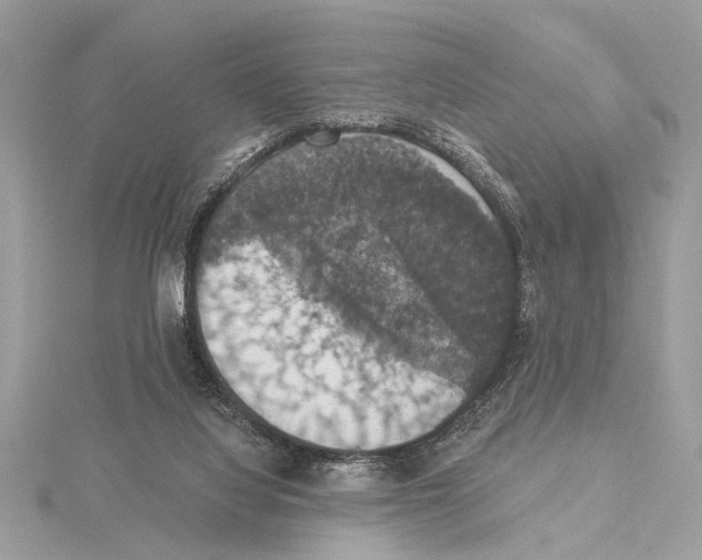 X0000115400068200912011214